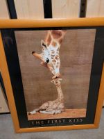 Giraffenbild im Holzbilderrahmen Nordrhein-Westfalen - Solingen Vorschau