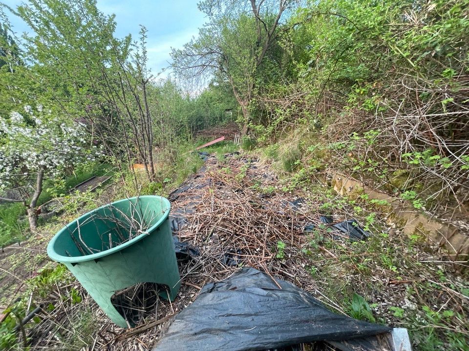 Garten für Abenteuerlustige und Anpacker im KGV Bergfrieden in Frankfurt (Oder)