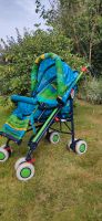 Kinderwagen Buggy Hartan klappbar bunt Alustar Bayern - Hutthurm Vorschau