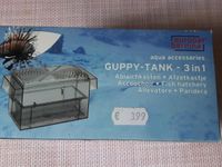 Guppy-Tank Nordrhein-Westfalen - Oberhausen Vorschau