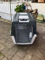 Hundebox / Transportbox Hunde, Katzen Bayern - Rohrdorf Vorschau