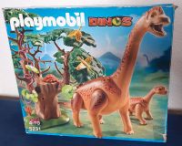 Playmobil Set 5231 Dinosaurier Brachiosaurus mit Baby Hessen - Reinhardshagen Vorschau