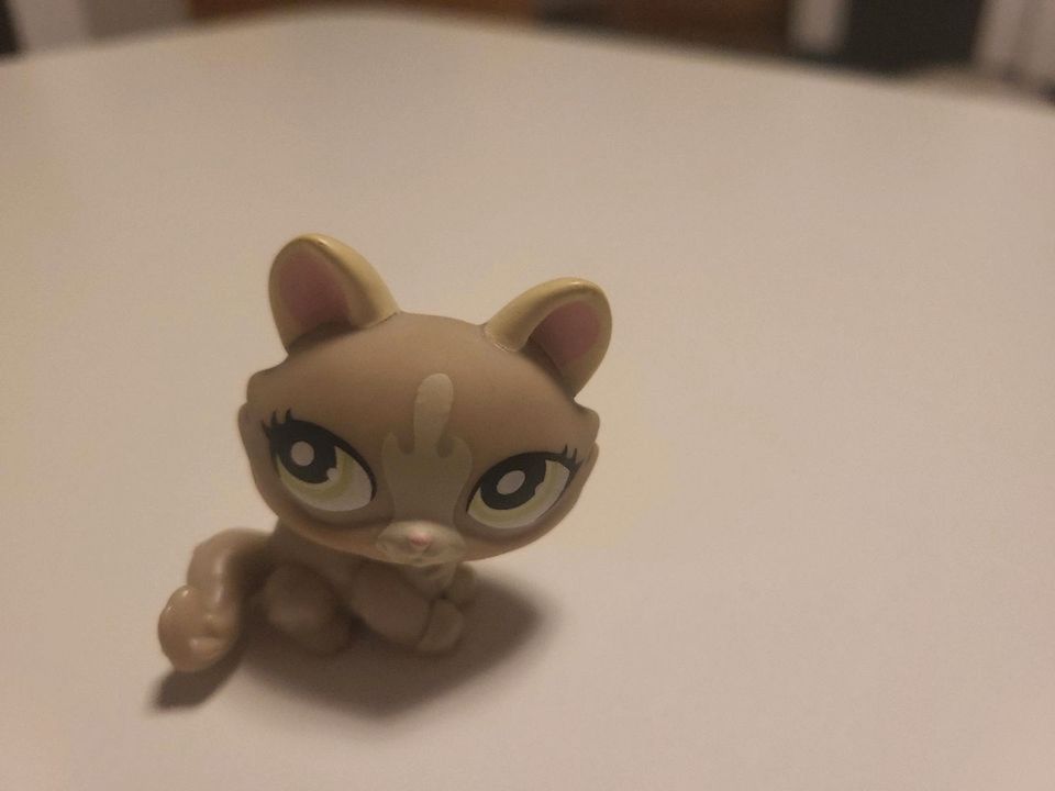 Littlest Pet Shop Tiere #1370 Katzen LPS in Dresden