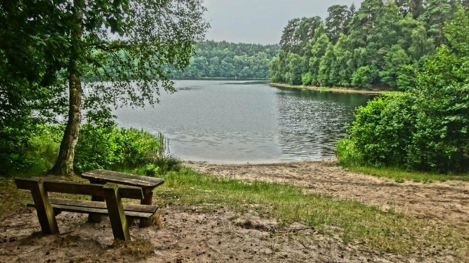 Ferienhaus Kranichblick - Urlaub mit Hund (Wald,See,Kamin,Sauna) in Ratzeburg