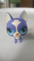 Boston Terrier #2750 von Littlest Pet Shop Brandenburg - Frankfurt (Oder) Vorschau