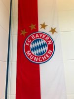 FC Bayern München Hissfahne Hessen - Freigericht Vorschau