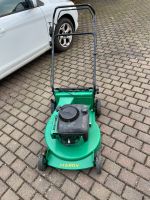 Hochgrasmäher Harry mit Briggs & Stratton Motor Hessen - Merenberg Vorschau