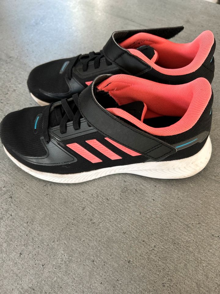 Adidas Schuhe Gr. 34 in Meppen