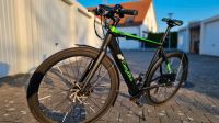 EASY-BIKE Urban Concept E-Bike 2021 nur 700 km Bayern - Regensburg Vorschau