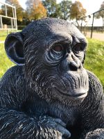‼️Schimpanse 52cm Chita Bonobo Steinguss Affe Affen Menschenaffen Buchholz-Kleefeld - Hannover Groß Buchholz Vorschau