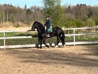 Reitbeteiligung, Pferd sucht Reiter Kr. Altötting - Unterneukirchen Vorschau