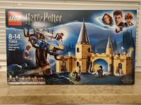 LEGO Harry Potter 75953 Die Peitschende Weide neuwertig, OVP Niedersachsen - Burgdorf Vorschau