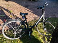 Fahrrad von Pegasus, Solero Niedersachsen - Rhauderfehn Vorschau