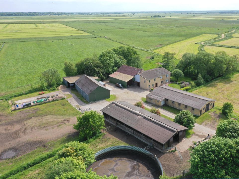 Landleben wie aus dem Bilderbuch - Hof mit Stallungen und arrondiertem Weideland in Alleinlage in Bergenhusen