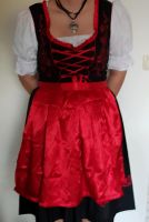 Dirndl ohne Kette Gr.44 Nordwestmecklenburg - Landkreis - Schönberg (Mecklenburg) Vorschau