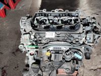 Ford Kuga 2,0 4x4 TDCi Motor TXBA 163PS komplett Niedersachsen - Langwedel Vorschau