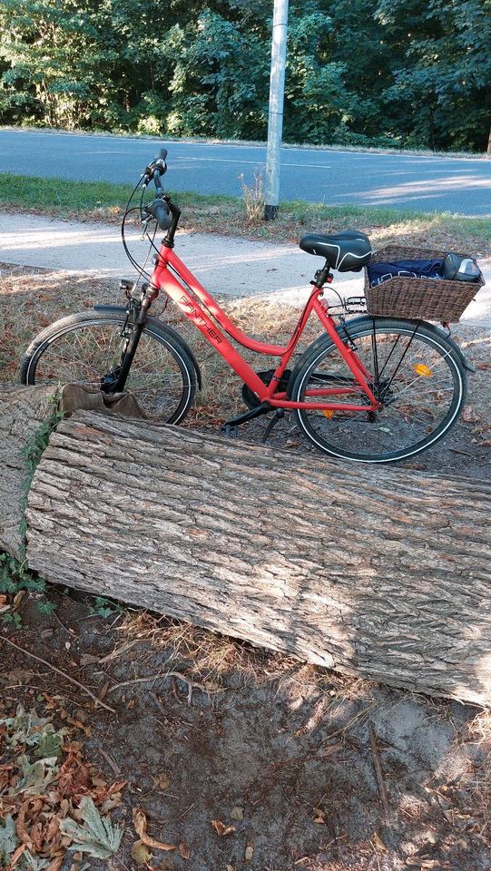 Fahrrad Panther in Strausberg