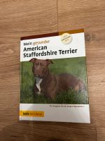 Mein gesunder American Staffordshire Terrier Baden-Württemberg - Waldenburg Vorschau