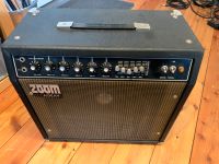 Vintage “ZOOM AIDEAN” Gitarren Verstärker Combo 1x12” Baden-Württemberg - Wilhelmsfeld Vorschau