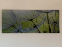 Acrylglas Bild Pusteblume Saarland - Eppelborn Vorschau