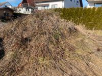 Humus Mutterboden Erde Baden-Württemberg - Laichingen Vorschau