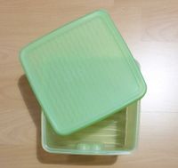 Tupperware Box z. B. für Käse Hessen - Kriftel Vorschau