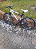 Scott Damen Mountainbike Königs Wusterhausen - Senzig Vorschau