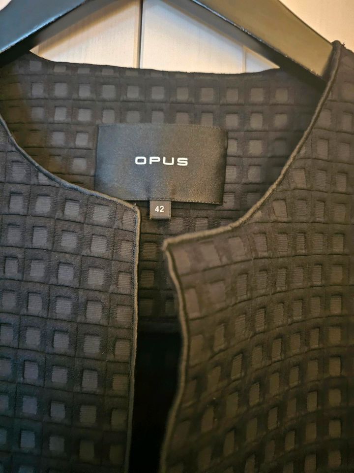 Jacke gr.42 von Opus in Oberhausen