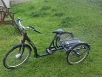 E-Bike dreirädrig mit Korb Hessen - Biedenkopf Vorschau