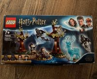 Harry Potter Lego „Expecto Patronum“ Schleswig-Holstein - Fünfhausen Vorschau