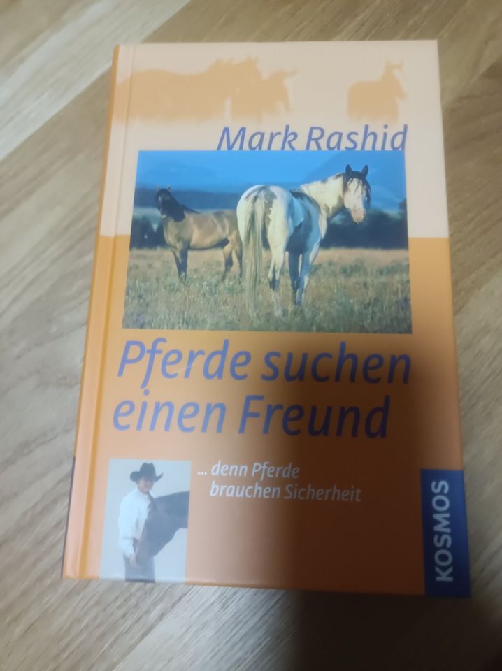 Pferde suchen einen Freund - Mark Rashid in Baden-Württemberg -  Bietigheim-Bissingen | eBay Kleinanzeigen ist jetzt Kleinanzeigen