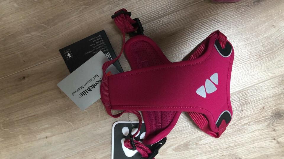 NEU Hundegeschirr für Welpen oder kleine Hunde rosa pink NEU in Neureichenau