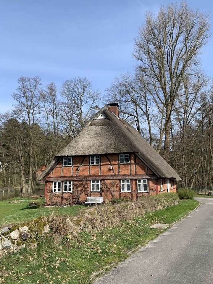 Reetdachhaus mit Potenzial * Teichblick * in Hornbek