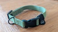 Hundehalsband Nylon RESC7UE Green Stuttgart - Stuttgart-Süd Vorschau