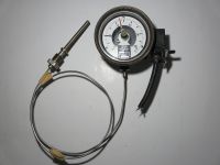 Manometer mit Schalter für Temperatur von Gulbinat Niedersachsen - Wilhelmshaven Vorschau