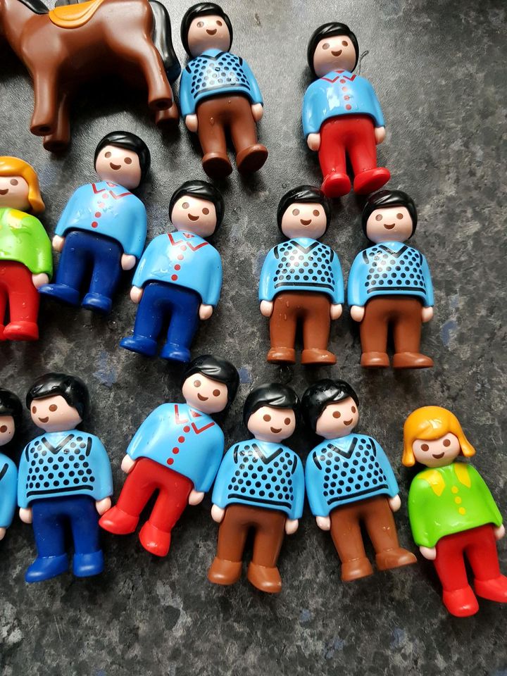 Ca. 27 Playmobil 123 Männchen Frauen Männer Tiere Top Zustand in Mitteleschenbach