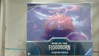 Disney Lorcana Rise of the Flootborn Starter Deck 1 Karton Nordrhein-Westfalen - Senden Vorschau