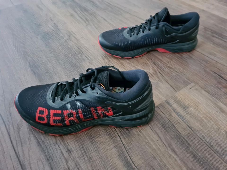 Asics Kayano 25 Berlin 2018 Limited Edition Herren Gr. 45 in Mainz