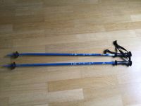 Skistöcke Alpin 90 cm Tecno Pro Skitty Tiger blau Freiburg im Breisgau - Wiehre Vorschau