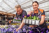 Aushilfe / Minijob - Verkauf Garten (m/w/d) (20537479) Thüringen - Magdala Vorschau