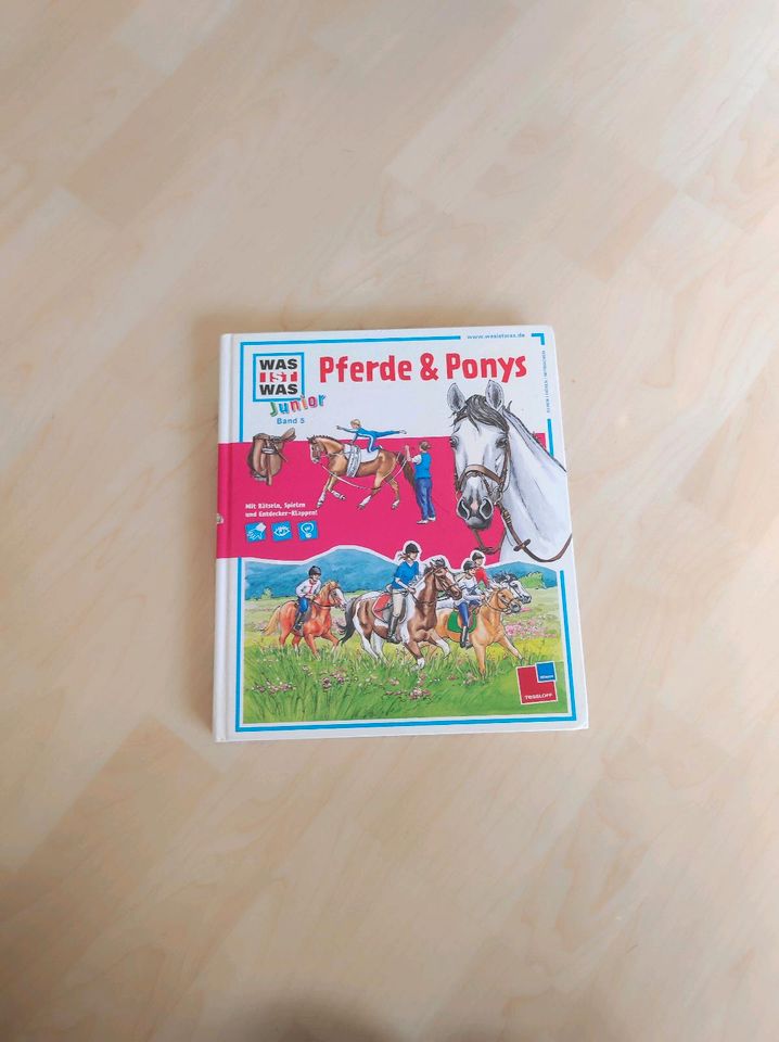 Was ist Was Junior Band 5 Pferde und Ponys Buch in Obersontheim