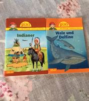 2 Pixi groß- Indianer / Wale und Delfine Bayern - Steinwiesen Vorschau