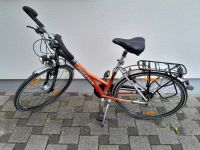 Fahrrad Marke Pegasus Solero ALU light mit Shimanu Nabendynamo Rheinland-Pfalz - Neustadt an der Weinstraße Vorschau