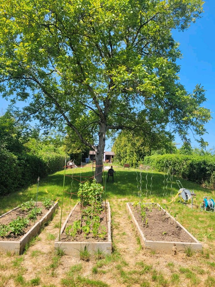 Gartengrundstück zu verkaufen in Fellbach