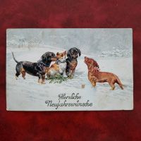Dackel Hund Winter Schnee Postkarte  /320 Niedersachsen - Aurich Vorschau
