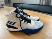 adidas D Rose Basketball Schuhe Turnschuhe Herren TOP Bayern - Untermeitingen Vorschau