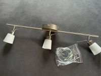 Deckenstrahler, 3fach, Edelstahl mit weißen Glasschirmen Niedersachsen - Ovelgönne Vorschau