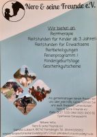 Reitunterricht - Reiten Baden-Württemberg - Unterschneidheim Vorschau