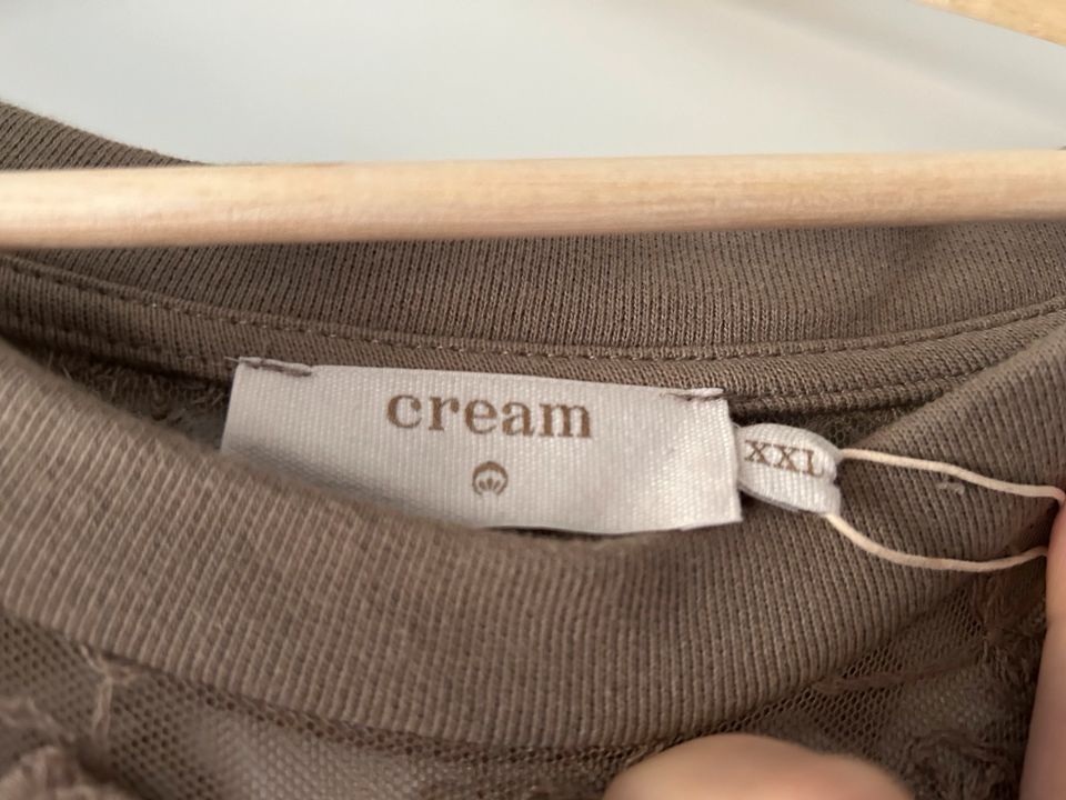 Pullover der Marke Cream mit Spitze *Neu mit Etikett* in Stapelfeld