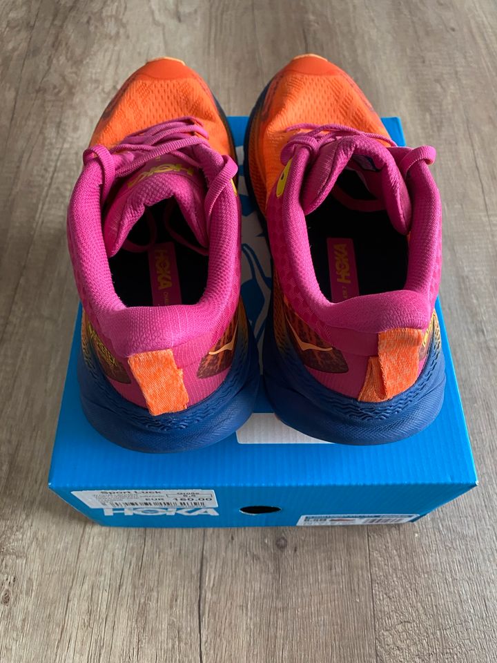 Trailrunningschuhe Hoka Challenger ATR 7 GTX, bunt, Gr. 38, OVP in Suhl